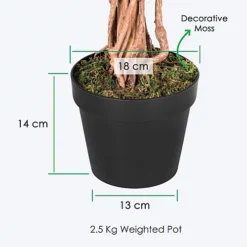 Homescapes Green Ficus Tree Artificial Plant With Twisted Real Wood Stem, 4 Ft -Leaf Shop homescapes green ficus tree artificial plant with twisted real wood stem 4 ft5055967421493 03c MP