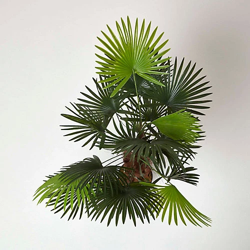 Homescapes Green 'Lady Palm' Tree Artificial Rhapis Plant With Pot, 90 Cm 4 Homescapes Green 'Lady Palm' Tree Artificial Rhapis Plant With Pot, 90 Cm - Image 2