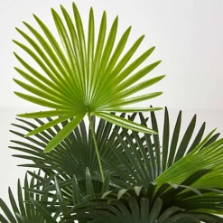 Homescapes Green 'Lady Palm' Tree Artificial Rhapis Plant With Pot, 90 Cm 9 Homescapes Green 'Lady Palm' Tree Artificial Rhapis Plant With Pot, 90 Cm -Leaf Shop homescapes green lady palm tree artificial rhapis plant with pot 90 cm5055967456143 04c MP