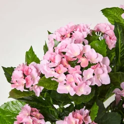 Homescapes Pink Hydrangea Artificial Plant With Pot, 85 Cm -Leaf Shop homescapes pink hydrangea artificial plant with pot 85 cm5055967456198 04c MP