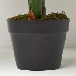 Homescapes Taro Plant In Pot, 90 Cm Tall -Leaf Shop homescapes taro plant in pot 90 cm tall5056280722335 03c MP