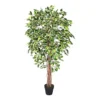 Homescapes Variegated Green Ficus Tree Artificial Plant With Twisted Trunk, 6 Ft 1 Homescapes Variegated Green Ficus Tree Artificial Plant With Twisted Trunk, 6 Ft -Leaf Shop homescapes variegated green ficus tree artificial plant with twisted trunk 6 ft5055967421424 01c MP