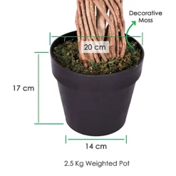 Homescapes Variegated Green Ficus Tree Artificial Plant With Twisted Trunk, 6 Ft -Leaf Shop homescapes variegated green ficus tree artificial plant with twisted trunk 6 ft5055967421424 03c MP