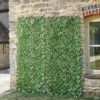 Ivy Leaf Artificial Trellis 180cm X 60cm -Leaf Shop ivy leaf artificial trellis 180cm x 60cm5050642058698 01c MP