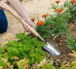 Kent & Stowe Stainless Steel Border Midi Hand Trowel Spade Heavy Duty Ash Handle -Leaf Shop kent stowe stainless steel border midi hand trowel spade heavy duty ash handle5060396797019 04c MP