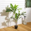 Livingandhome 3 Trunk Artificial Asplenium Nidus Tree House Plant Indoor Plant In Black Pot 105 Cm -Leaf Shop livingandhome 3 trunk artificial asplenium nidus tree house plant indoor plant in black pot 105 cm0735940251402 01c MP