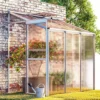 Livingandhome 6 X 4 Ft Lean To Polycarbonate Greenhouse With Window Opening