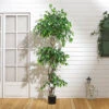 Livingandhome Artificial Banyan Tree House Plant Indoor Plant In Black Pot 180 Cm -Leaf Shop livingandhome artificial banyan tree house plant indoor plant in black pot 180 cm0735940251433 01c MP