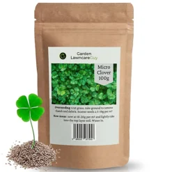 Micro Clover Seed For Lawn UK - 100% Small Leaf White Clover - Over Seeding Or New Areas - 100g Pack Covers 10-20m²