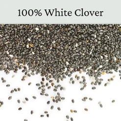 Micro Clover Seed For Lawn UK - 100% Small Leaf White Clover - Over Seeding Or New Areas - 100g Pack Covers 10-20m² -Leaf Shop micro clover seed for lawn uk 100 small leaf white clover over seeding or new areas 100g pack covers 10 20m 5065007977958 04c MP