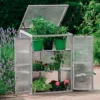 Neo Mini Grey Growhouse Greenhouse Cold Frame Model 2 -Leaf Shop neo mini grey growhouse greenhouse cold frame model 25056293904681 01c MP