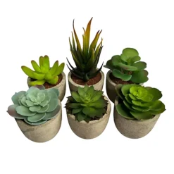 Oypla Set Of 6 Artificial Succulent Mini Cactus Grass Plants Indoor Decoration