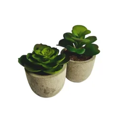 Oypla Set Of 6 Artificial Succulent Mini Cactus Grass Plants Indoor Decoration -Leaf Shop oypla set of 6 artificial succulent mini cactus grass plants indoor decoration5060544759616 04c MP