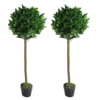 Leaf Pair Of 120cm (4ft) Plain Stem Artificial Topiary Bay Laurel Ball Trees -Leaf Shop pair of 120cm 4ft plain stem artificial topiary bay laurel ball trees5060532971242 01c MP