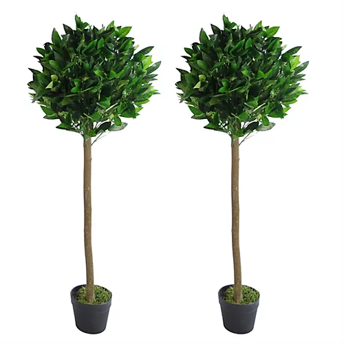 Leaf Pair Of 120cm (4ft) Plain Stem Artificial Topiary Bay Laurel Ball Trees 3 Leaf Pair Of 120cm (4ft) Plain Stem Artificial Topiary Bay Laurel Ball Trees