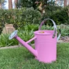 Pink Metal & Chrome Watering Can (3.5 Litre) -Leaf Shop pink metal chrome watering can 3 5 litre 5055031302062 01c MP