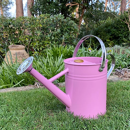 Pink Metal & Chrome Watering Can (3.5 Litre) 3 Pink Metal & Chrome Watering Can (3.5 Litre)