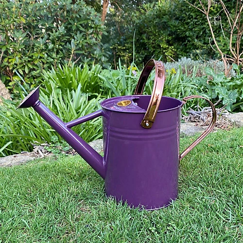 Purple Heather Metal & Copper Watering Can (3.5 Litre) 4 Purple Heather Metal & Copper Watering Can (3.5 Litre) - Image 2