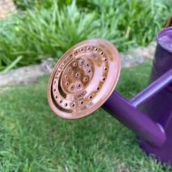 Purple Heather Metal & Copper Watering Can (3.5 Litre) 8 Purple Heather Metal & Copper Watering Can (3.5 Litre) -Leaf Shop purple heather metal copper watering can 3 5 litre 5060575102245 03c MP
