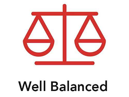 Red Gorilla 119/1PP/BL Gorilla Shovel Blue GORSHOVELBLU 5 Red Gorilla 119/1PP/BL Gorilla Shovel Blue GORSHOVELBLU - Image 3