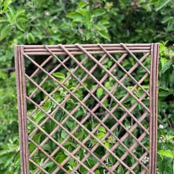 Set Of 3 Willow Trellis Framed Panel (120cm X 45cm) -Leaf Shop set of 3 willow trellis framed panel 120cm x 45cm 5060266596698 03c MP