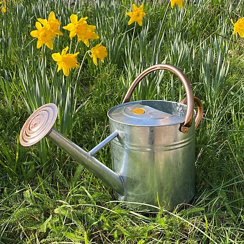 Silver & Copper Trim Metal Watering Can With Rose (9 Litre) 4 Silver & Copper Trim Metal Watering Can With Rose (9 Litre) - Image 2
