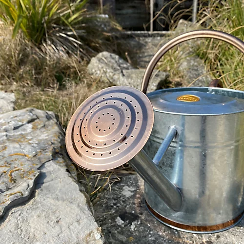 Silver & Copper Trim Metal Watering Can With Rose (9 Litre) 5 Silver & Copper Trim Metal Watering Can With Rose (9 Litre) - Image 3