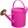 Simpa 9 Litre / 2 Gallon Pink Galvanised Watering Can With Brass Rose. 1 Simpa 9 Litre / 2 Gallon Pink Galvanised Watering Can With Brass Rose. -Leaf Shop simpa 9 litre 2 gallon pink galvanised watering can with brass rose 5059331207041 01c MP