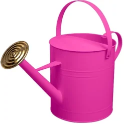 Simpa 9 Litre / 2 Gallon Pink Galvanised Watering Can With Brass Rose.