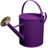Simpa 9 Litre / 2 Gallon Purple Galvanised Watering Can With Brass Rose. 1 Simpa 9 Litre / 2 Gallon Purple Galvanised Watering Can With Brass Rose. -Leaf Shop simpa 9 litre 2 gallon purple galvanised watering can with brass rose 5059331206945 01c MP