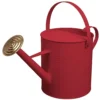 Simpa 9 Litre / 2 Gallon Red Galvanised Watering Can With Brass Rose. -Leaf Shop simpa 9 litre 2 gallon red galvanised watering can with brass rose 5059331206952 01c MP