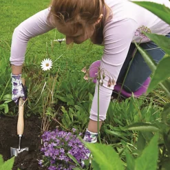 Stainless Steel Long Handled Trowel By Wilkinson Sword 9 Stainless Steel Long Handled Trowel By Wilkinson Sword -Leaf Shop stainless steel long handled trowel by wilkinson sword5050581001632 04c MP