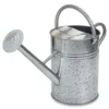 Steel Watering Can 12L -Leaf Shop steel watering can 12l3663602728399 01bq
