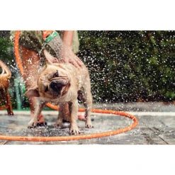 Tramontina 1/2" Flex Garden Hose 30m With Accessories -Leaf Shop tramontina 1 2 flex garden hose 30m with accessories7891117101536 03c MP